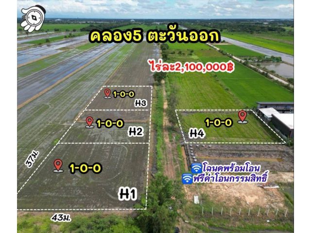 แปลงคลอง5 ตะวันออก เนื้อที่ 4 ไร่ ️แบ่งขายแปลงละ1ไร่ ขายไร่ละ 2,100,000 บาท