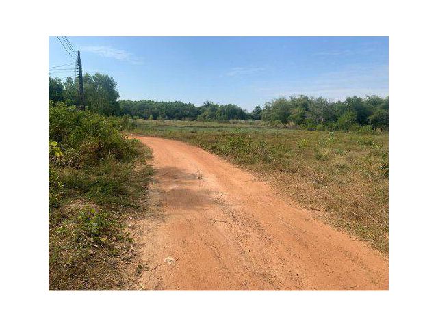 ขายที่ดิน 9 ไร่ ติดถนนสองด้าน ต.ประจันตคาม อ.ประจันตคาม จ.ปราจีนบุรี