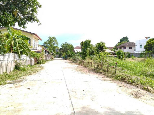 ขายที่ดินสุขุมวิท101 ปุณณวิถี39 ที่ดิน 382 ตร.ว ขาย ตร.ว 95,000 แปลงสวยมาก หน้ากว้างติดถนน 53 เมตร ใกล้รถไฟฟ้า BTS ปุณณว