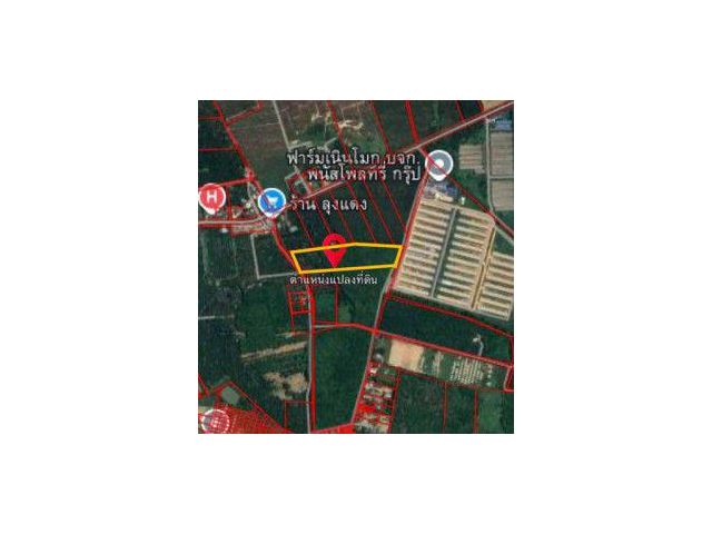 ขายที่ดินหนองอิรุณชลบุรี ที่ดินเนินโมก 10 ไร่