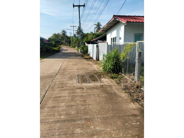 ขายที่ดินพร้อมบ้าน ต.ท่าโพธิ์ จ.พิษณุโลก