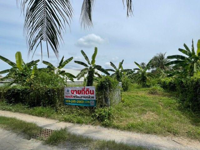 ขายที่ดิน แปลงสวยถมแล้ว ต.บ้านลาด อ.บ้านลาด จ.เพชรบุรี 1 งาน 89 ต