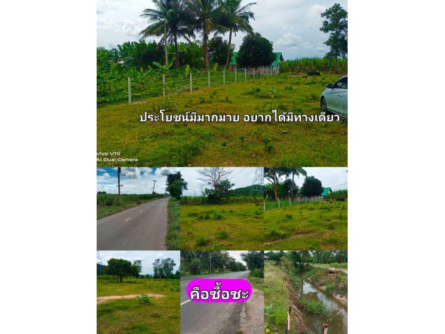 อย่าปล่อยแปลงสวยให้ลอยนวล คือแปลงด่วนไม่ควรลืมแปลงสวยสดใสไร้รอยต่อ ราคาชาวบ้านย่านชุมชนที่น่าอยู่อาศัย ยังงัยก็คุ้ม