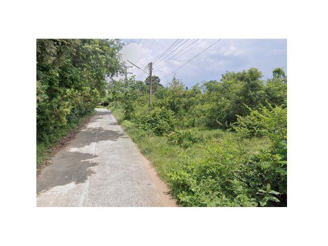 ขายที่ดิน 6 ไร่ ติดถนนคอนกรีต ต.ขามใหญ่ อ.เมืองอุบลราชธานี จ.อุบลราชธานี