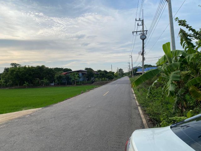 ขายที่ดินเมืองเก่า 1 ไร่ ติดถนนลาดยาง ซ.วัดนาเหล่าน้ำ ใกล้ถนนเส้น3378-300เมตร อ.พนมสารคาม ฉะเชิงเทรา