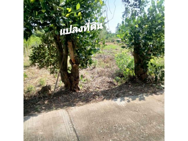 ขาย