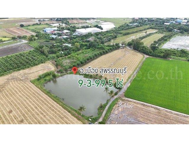 ราคาพิเศษ ขายด่วนมาก ที่ดิน 9-3-99.5 ไร่ ดอนโพธิ์ - สุพรรณบุรี ทำ