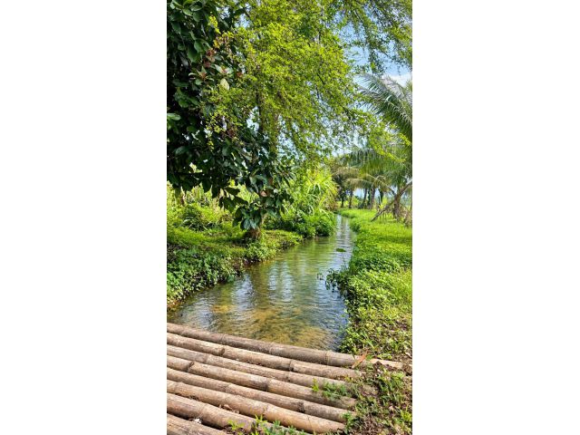 ขายที่ดินติดลำน้ำบ้านถ้ำเชียงดาววิวดอยหลวงโฉนด