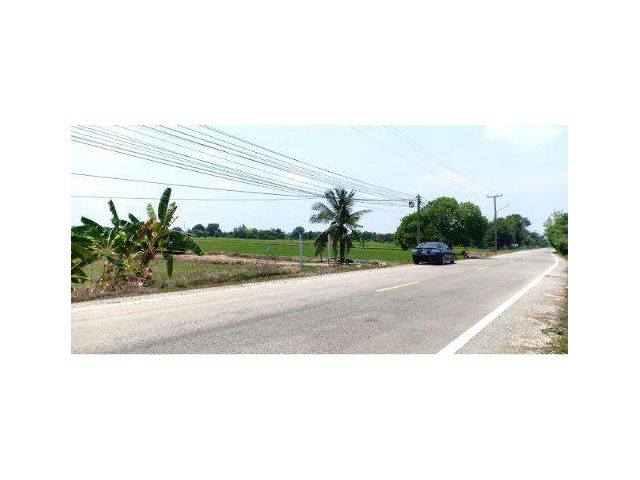 ขายที่ดิน 134 ไร่ ติดถนนเลียบคลอง 11 อ.หนองเสือ จ.ปทุมธานี