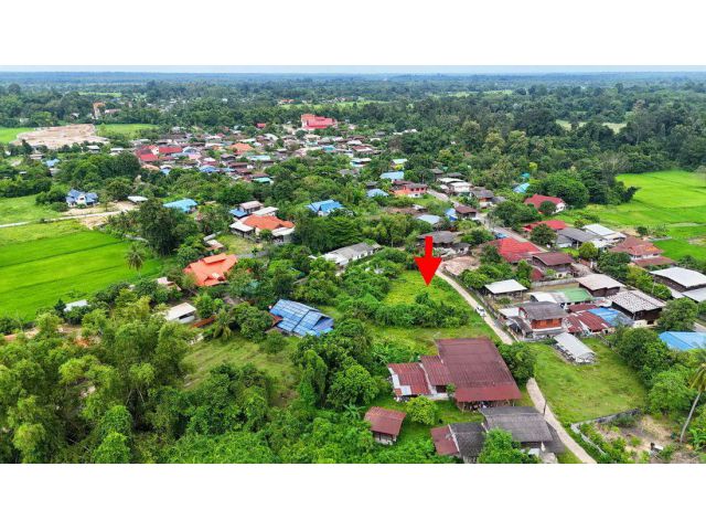 ที่ดินบ้านท่าช้าง อ.สว่างวีระวงศ์ จ.อุบลราชธานี ( ขายด่วน 400,000.- )