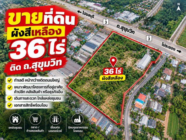 "แปลงใหญ่ หายาก! ขายที่ดินติดถนนสุขุมวิท มาบตาพุด 36 ไร่กว่า หน้ากว้าง 220 ม. ทำเลทองผังสีเหลือง
