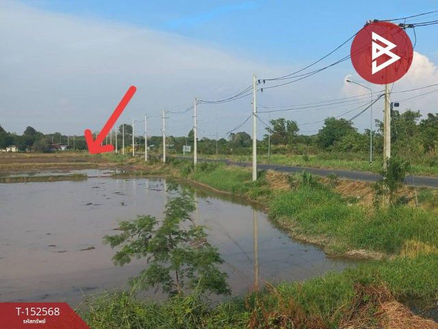 ขายที่ดิน เนื้อที่ 4 ไร่ ฆะมัง พิจิตร