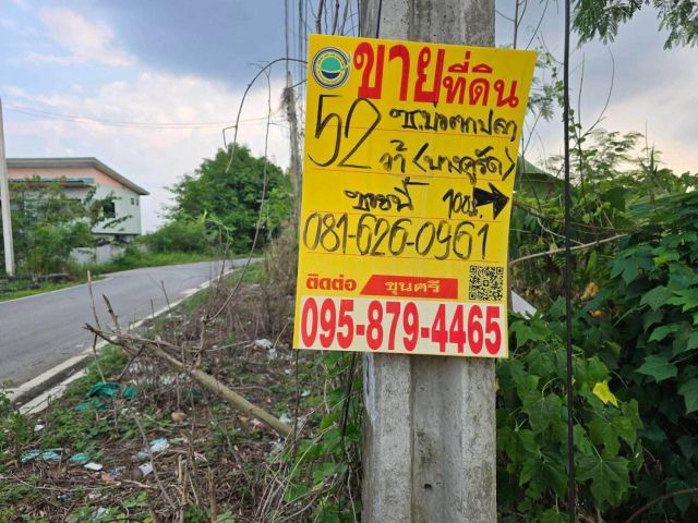 ขายด่วนที่ดิน 52 ตรว ติดถนนลาดยางสาธารณะ ถมแล้ว ต.บางคูรัด อ.บางบัวทอง จ.นนทบุรี