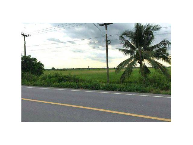 ขายที่ดิน 42 ไร่ ติดถนนเลียบคลอง 11 อ.ลำลูกกา จ.ปทุมธานี
