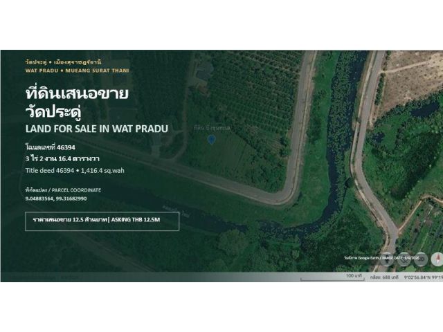 ขายที่ดิน 3 ไร่ 2 งาน 16.4 ตารางวา วัดประดู่ สุราษฎร์ธานี ถนนลาดยางเข้าได้ ทำเลดี