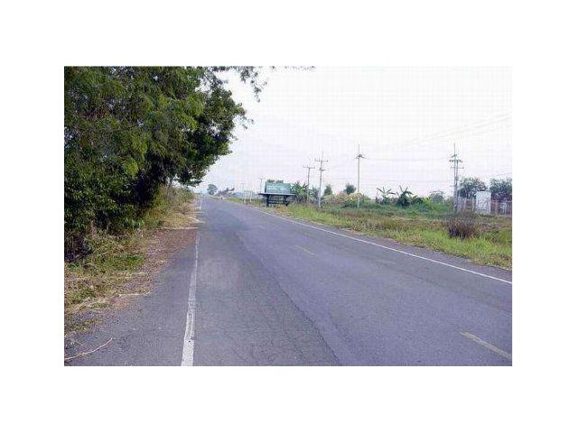 ขายที่ดิน 4 ไร่ ติดถ.ใหญ่ นย.2024 ถมดินแล้ว ใกล้วัดโพธิ์แทน อ.องครักษ์ จ.นครนายก