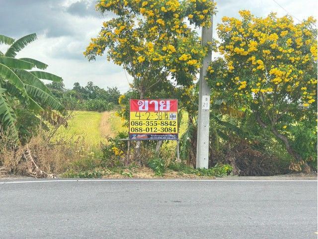 ขายที่ดิน 4-2-38 ไร่ ตรงข้าม กศน. ตำบลคลองข่อย นนทบุรี