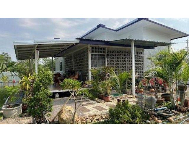 ขาย ที่ดิน ท่ายาง เพชรบุรี ใกล้ ม.วิทยาลัยศิลปากร เพชรบุรี