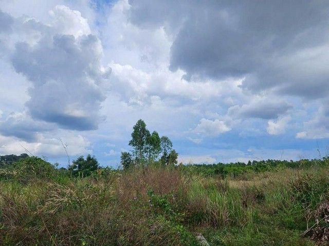 ขายที่ดินปราจีนบุรี แปลงสวย ราคาถูก ทำเลดี ใกล้แหล่งชุมชน