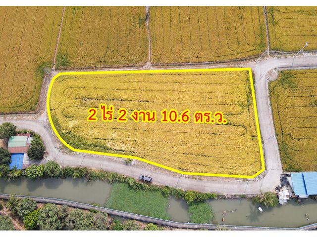 ขายที่ดิน แปลงมุม ถนน 345 บางคูวัด ปทุมธานี