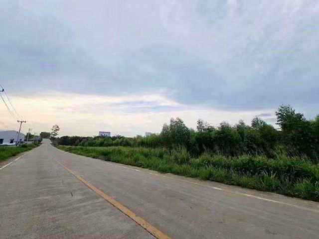 ขายที่ดิน 20-3-65ไร่ สีม่วงลาย หนองใหญ่ ชลบุรี ติดนิคมเอเชียคลีน Asia Clean Industrial Estate ชลบุรี พิกัดที่ดิน ต.หนองใ
