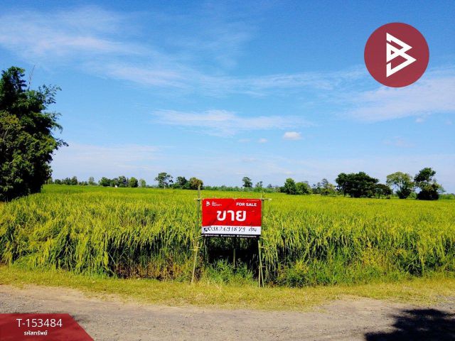 ขายที่ดิน เนื้อที่ 13 ไร่ 1 งาน 22 ตร.วา ศีขรภูมิ สุรินทร์