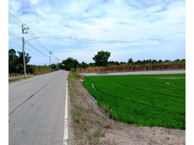 ขายด่วน!!!ที่ดินเขตคลองโยง แปลงสวยราคาถูก ติดถนนลาดยาง เนื้อที่ 16-1-15 ไร่ ทำเลเหมาะทำธุรกิจจัดสรร,ธุรกิจโกดังสินค้า