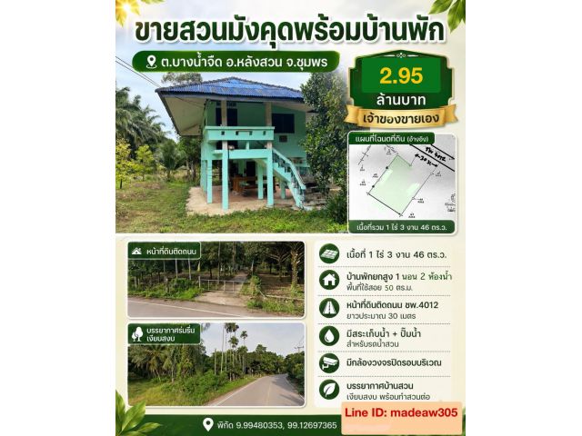 ขายสวนมังคุดพร้อมบ้านพัก ต.บางนําจืด อ.หลังสวน จ.ชุมพร