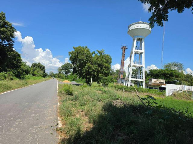 ขายที่ดินบ้านกล้วยเมืองชัยนาท ที่ดินเมืองชัยนาท ที่ดินดินเลียบคลองเมืองชัยนาท