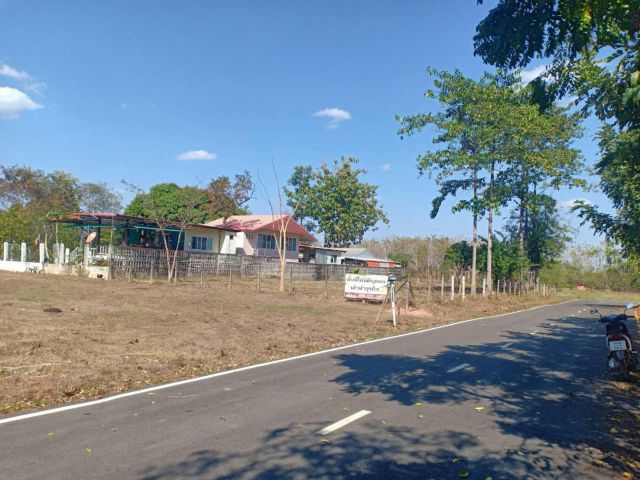 ขายที่ดินทำเลดี ด่วน!!