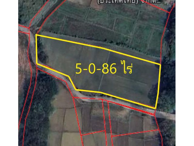 L559 ขายที่ดินเปล่า 5-0-86 ไร่ ( ต.สันพระเนตร อ.สันทราย จ.เชียงใหม่)