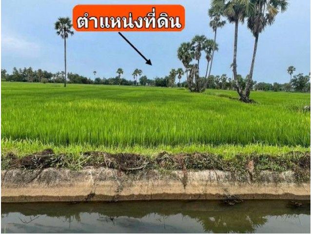 ขายที่ดิน 3 ไร่ 28 ตรว.ทำเลทองแห่งความสงบ อ.บ้านลาด เพชรบุรี