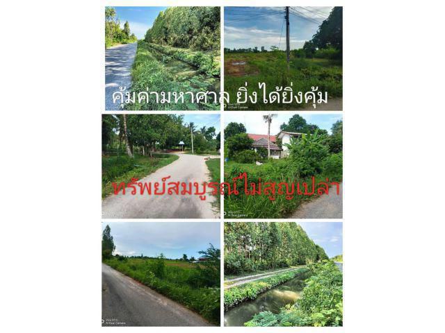 ที่นี่พื้นที่ราชบุรีเมืองโอ่ง อ.บ้านโป่งเมืองเจริญ เสนอที่ดินแปลงสวยแปลงเท่ากันแต่ความหมายต่างกัน ราคานี้ยังมีอยู่จริง
