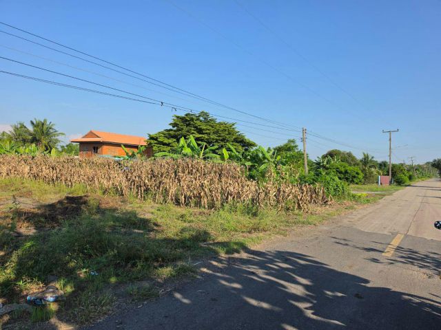 ขายที่ดินตากฟ้านครสวรรค์  ขายที่ดินหมู่บ้านเขากาตากฟ้า  ขายที่ดินนครสวรรค์