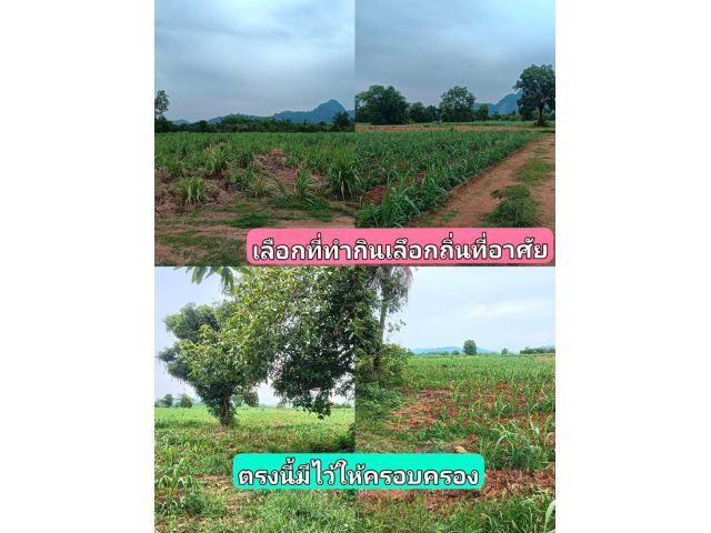 ถูกดีกว่าทีคิดคุ้มทุกมุมมอง พื้นที่ทำการเกษตรเป็นเขตที่น่าอยู่ ที่ไร่ที่ทำกินถิ่นที่อาศัยชีวิตพอเพียง สุขใจแล้วไม่เสี่ยง