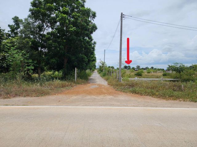 ขายถูก! ที่ดิน 201 ตรว. ขาย 590,000 อยู่ใกล้ รพ.พระยุพราชจอมบึง-ราชบุรี ที่ดินสวย น้ำไม่ท่วม อยู่ในชุมชนไม่เปลี่ยว (เจ้า