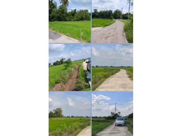ที่นาติดถนนคอนกรีต