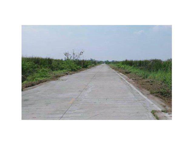 ขายที่ดิน 14 ไร่ คลองแปด ถนนรังสิต-นครนายก อ.ธัญบุรี จ.ปทุมธานี