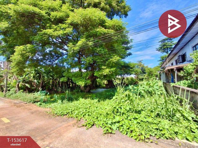 ขายด่วนที่ดิน เนื้อที่ 174 ตร.วา ท่าอิฐ เมืองอุตรดิตถ์ ทำเลดี ตรงข้ามมหาลัยราชภัฎอุตรดิตถ์