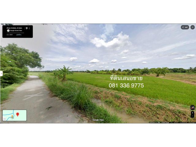 ขายที่นา 17 ไร่ เมืองอ่างทอง 098 7755 808