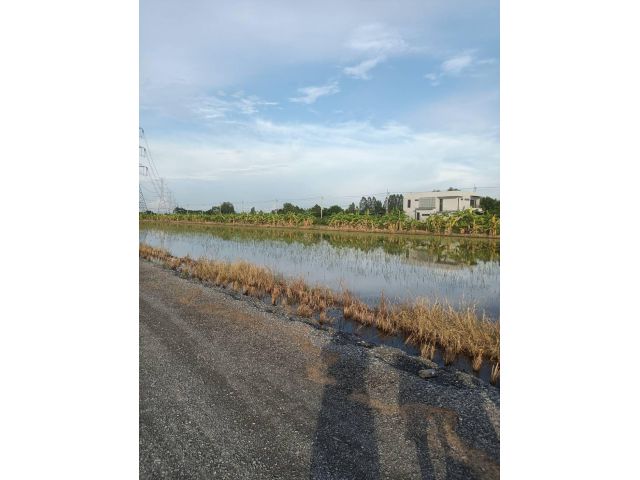 ขายที่ดินแปลงสวยราคาไม่แพงนนทบุรี