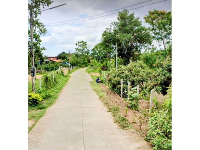 ที่ดินแปลงเล็ก น้ำไม่ท่วม เหมาะอยู่อาศัย เวียงสา น่าน