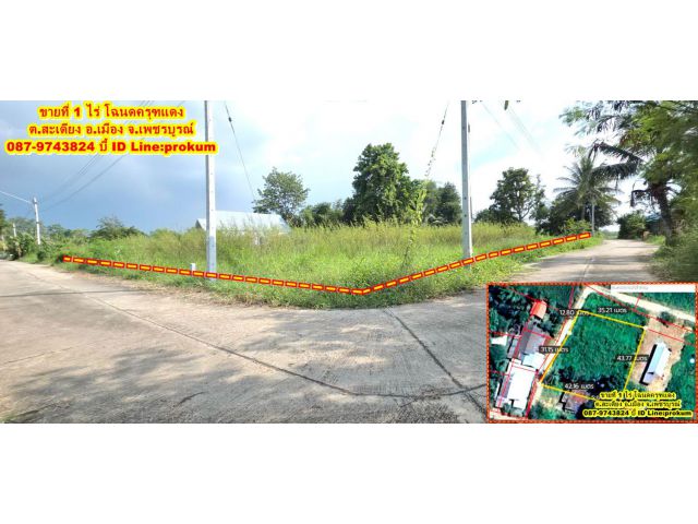 ขายที่ดิน 1ไร่ 650,000 บาท ต.สะเดียง ติดถนนคอนกรีต 2 ด้าน