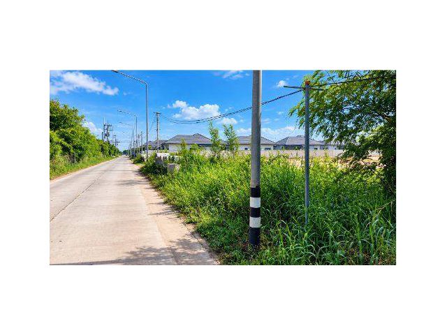ขายที่ดิน 4 ไร่ ซอยบ้านเก่า 26 ติดนิคมอมตะซิตี้ ต.บ้านเก่า อ.พานทอง จ.ชลบุรี