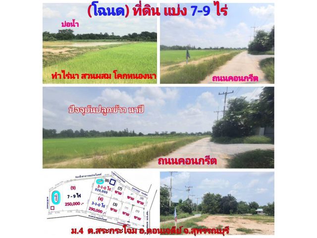 (โฉนด) ที่ดินแบ่ง 7-9 ไร่ๆละ 250,000 บ. หน้าติดถนนคอนกรีต (ถมดินและบ่อน้ำ ทำไร่นาสวนผสม) ไฟฟ้า น้ำประปา ม.4 ต.สระกระโจม อ.ดอนเจดีย์ จ.สุุพรรณบุรี