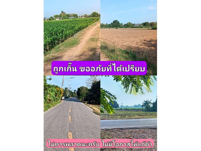 สั้นๆง่ายๆได้ใจความ ดีเด็ตขาดจนมิอาจนิ่งเฉยในเมื่อมีโอกาส นายแน่มากหากกล้ามาชมพื้นที่นี่คือคำเตือน เกรงว่าจะอดใจกับราคา