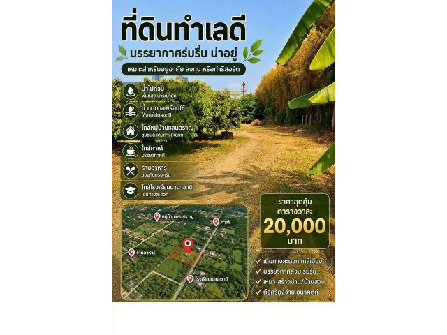 ขายที่ดินสวนลำไยบ้านไร่กองขิง ต.หนองควาย