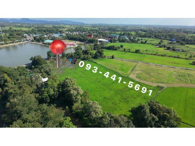 ขายที่ดินที่นาวัยเกษียณราคาถูกไร่ละ750,000มี8ไร่301ตรว.หนองโนเมืองสระบุรี