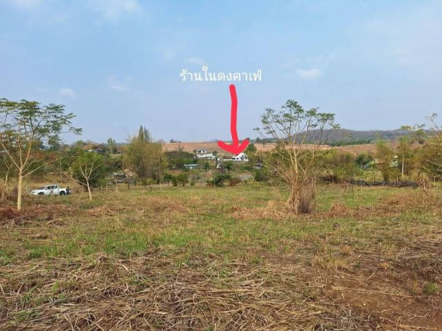 ขายที่ดินวังน้ำเขียวริมเขา 5 ไร่
