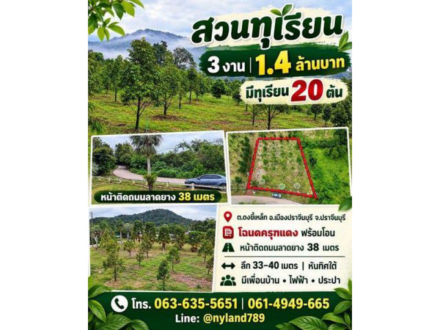 ขายสวนทุเรียนทำเลดี ราคาเบา ๆ ต.ดงขี้เหล็ก อ.เมืองปราจีนบุรี